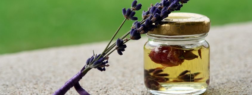 essential oils that can prevent head lice