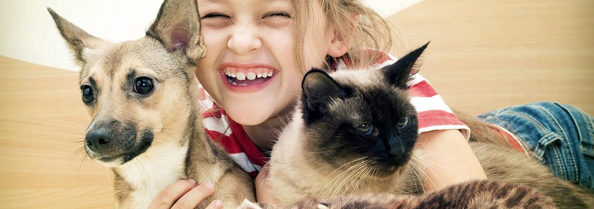 young girl hugs kittens and dog