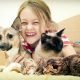 young girl hugs kittens and dog