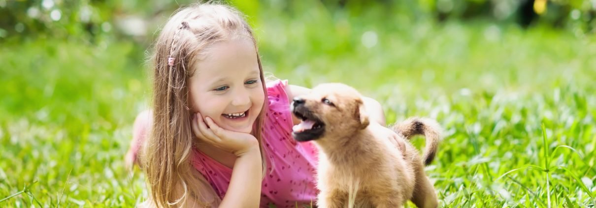 Can My Kids Get Lice from Our Pets?