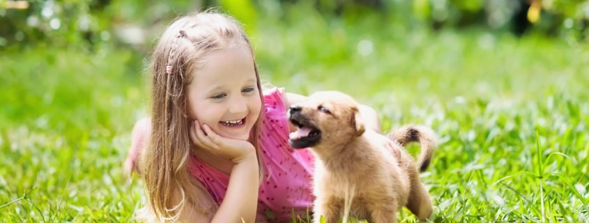 Can My Kids Get Lice from Our Pets?