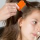 How Contagious is Lice?