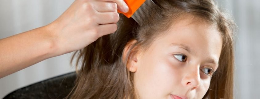 How Contagious is Lice?