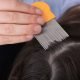 Lice Comb Outs: Process and Procedures
