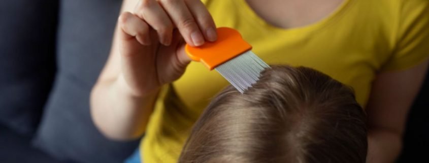 Beyond Combs and Chemicals: Embracing Innovation in Lice Removal